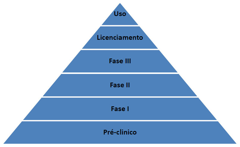 Fases de desenvolvimento de uma vacina